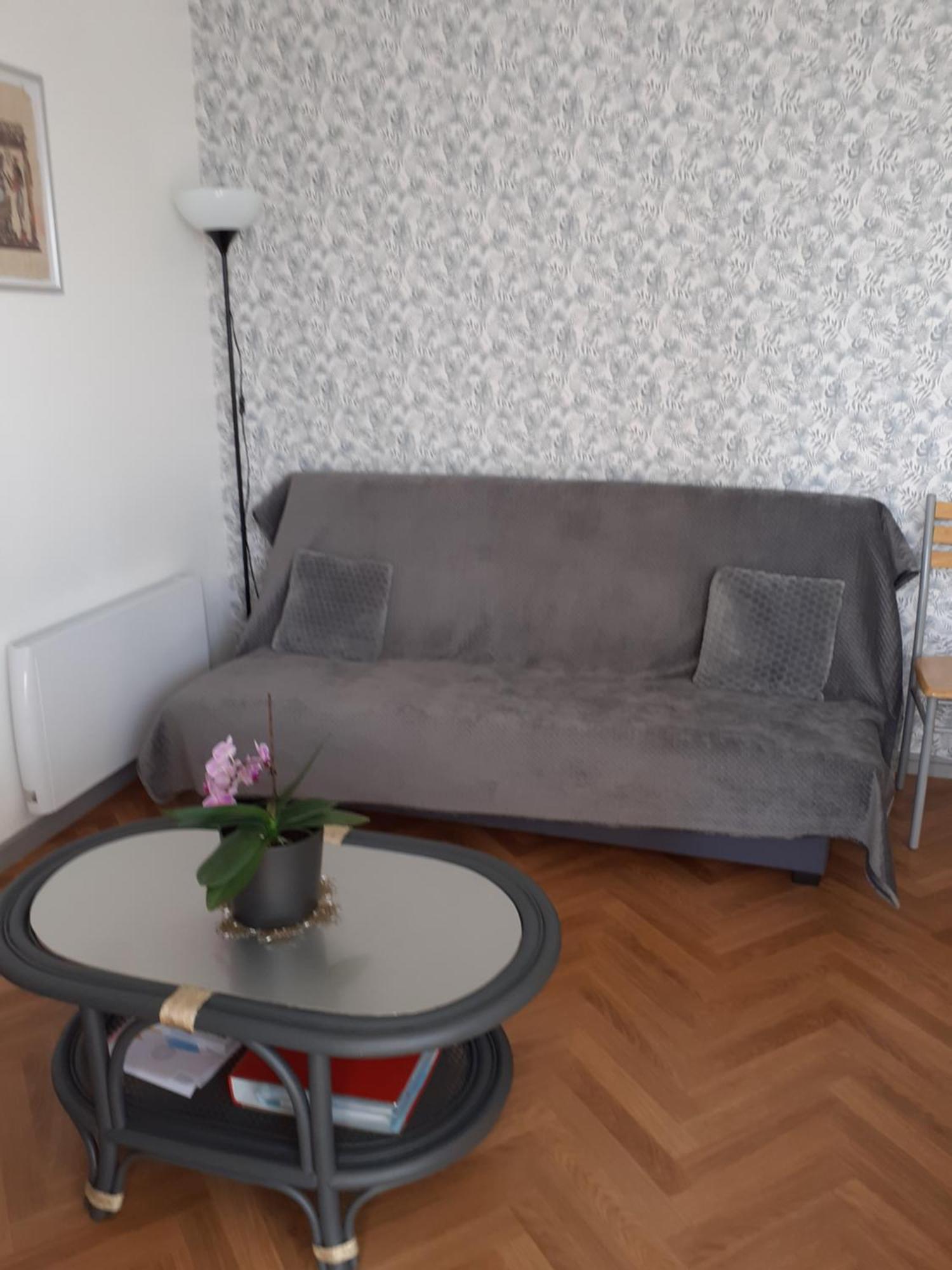Appartement Pour Famille Amis Ou Colegue Cholet Eksteriør bilde